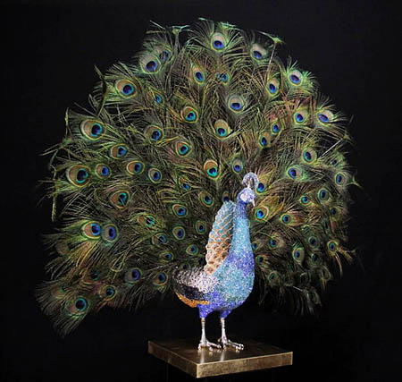 Blue Peacock Open Feathers - Clarita Brinkerhoff Wyland Gallery