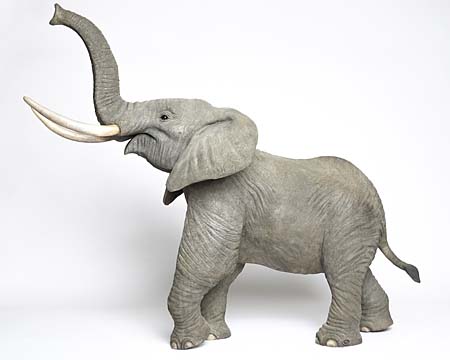 Elephant by Wyland - Wyland Galleries of the Florida Keys