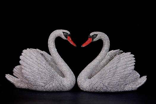 Swans Together - Clarita Brinkerhoff Wyland Gallery Sarasota & Key West