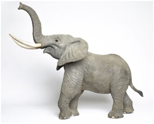African Elephant Bronze Sculpture by Wyland
