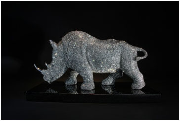 Rhinoceros by Clarita Brinkerhoff by Clarita Brinkerhoff