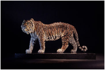 Royal Bengal Tiger by Clarita Brinkerhoff at Wyland Galleries of the Florida Keys