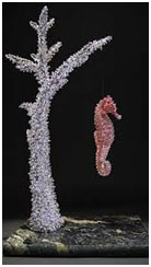 Sea Horse on a Staghorn Coral by Clarita Brinkerhoff Sea Horse on a Staghorn Coral by Clarita Brinkerhoff