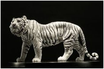 White Royal Bengal Tiger by Clarita Brinkerhoff