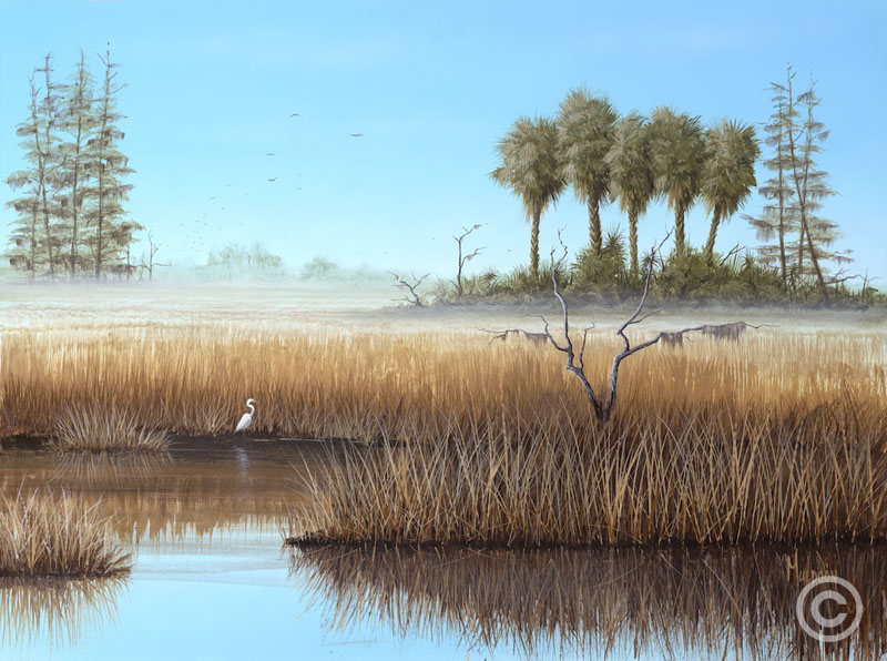 Everglades by Stephen Muldoon at Wyland Galleries