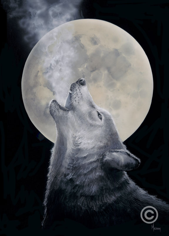 Full Moon Serenade by Stephen Muldoon