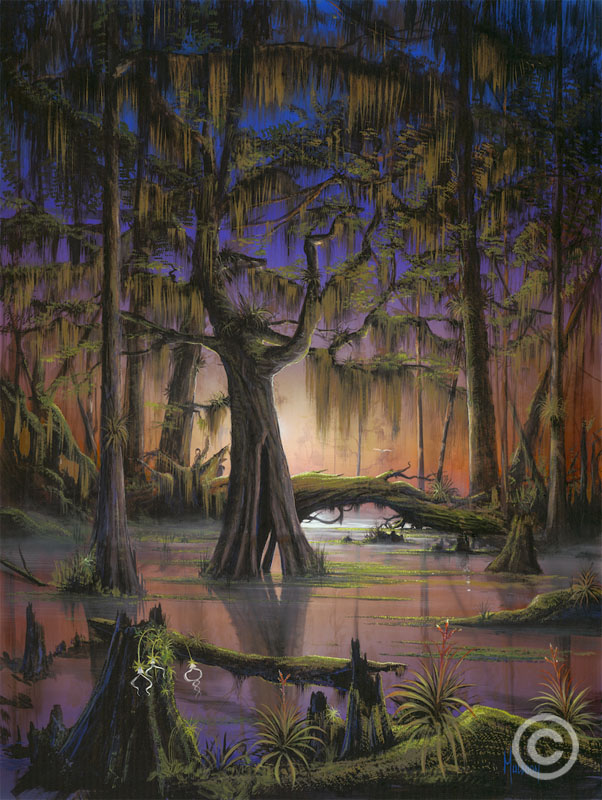 Mystic Swamp by Stephen Muldoon at Wyland Galleries
