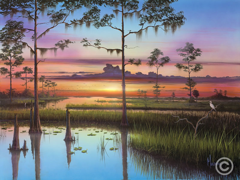 Seminole Wind by Stephen Muldoon