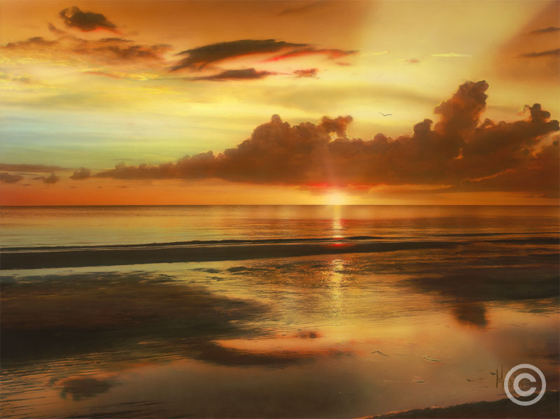 Sepia Sands by Stephen Muldoon at Wyland Galleries