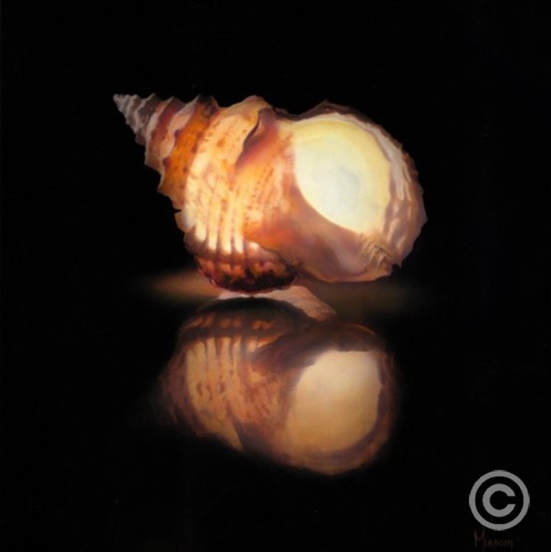 Shell C (Chelsea) by Stephen Muldoon at Wyland Galleries