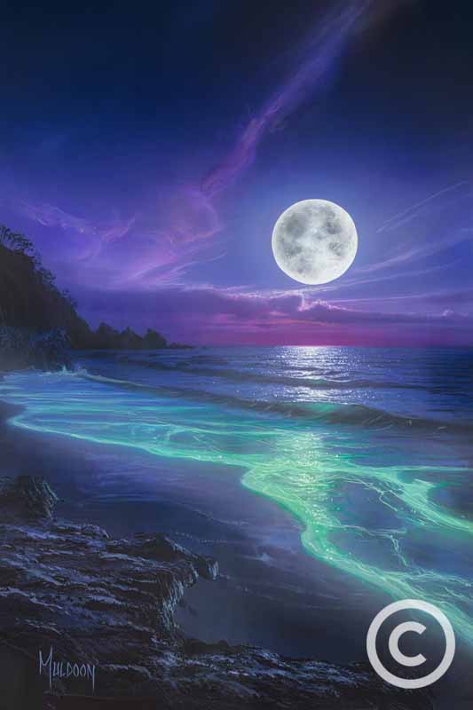 Glowing Tide by Stephen Muldoon Wyland Galleries