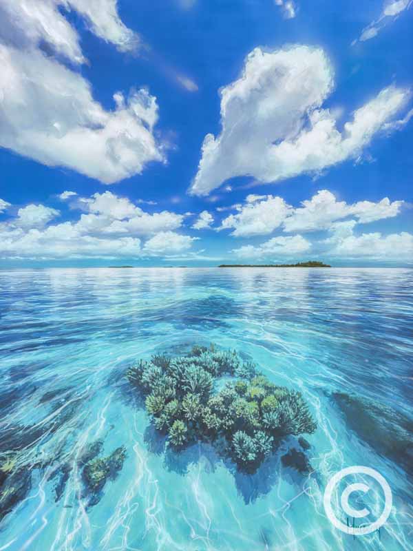 Ocean Blue by Stephen Muldoon Wyland Galleries