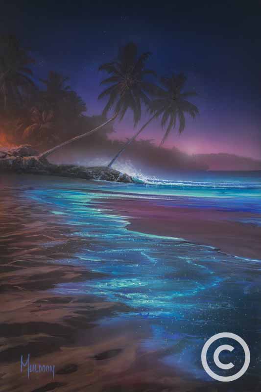 Phosphorus Bay by Stephen Muldoon Wyland Galleries