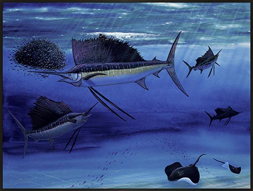Sailfish In The Sea Wyland Art on Metal at Wyland Galleries of the Florida Keys