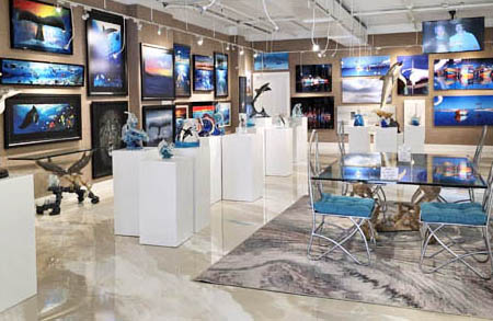 contact Wyland Galleries Key West