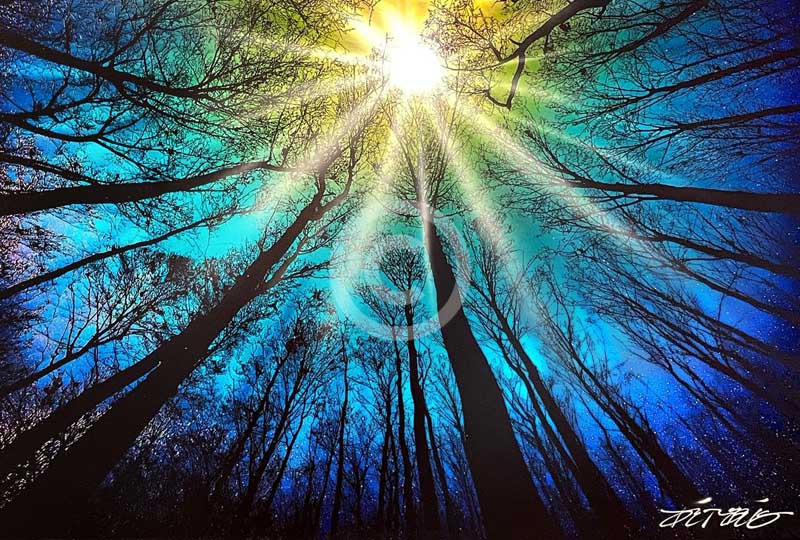 Forest Sky by Chris DeRubeis