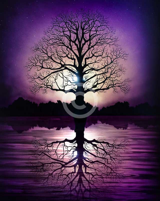 Tree of Light by Chris DeRubeis